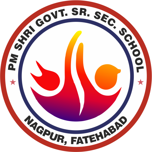 PM SHRI GGSSS Bhuna logo